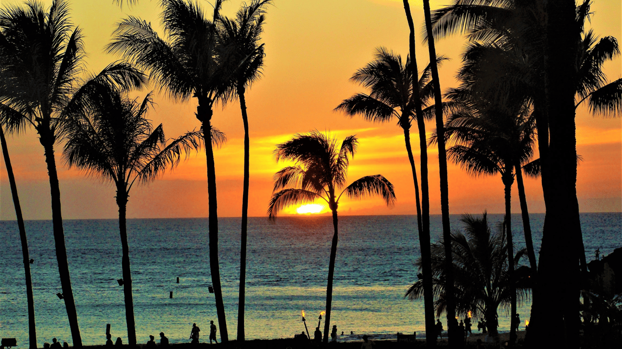 Why Families Love Living in Maui