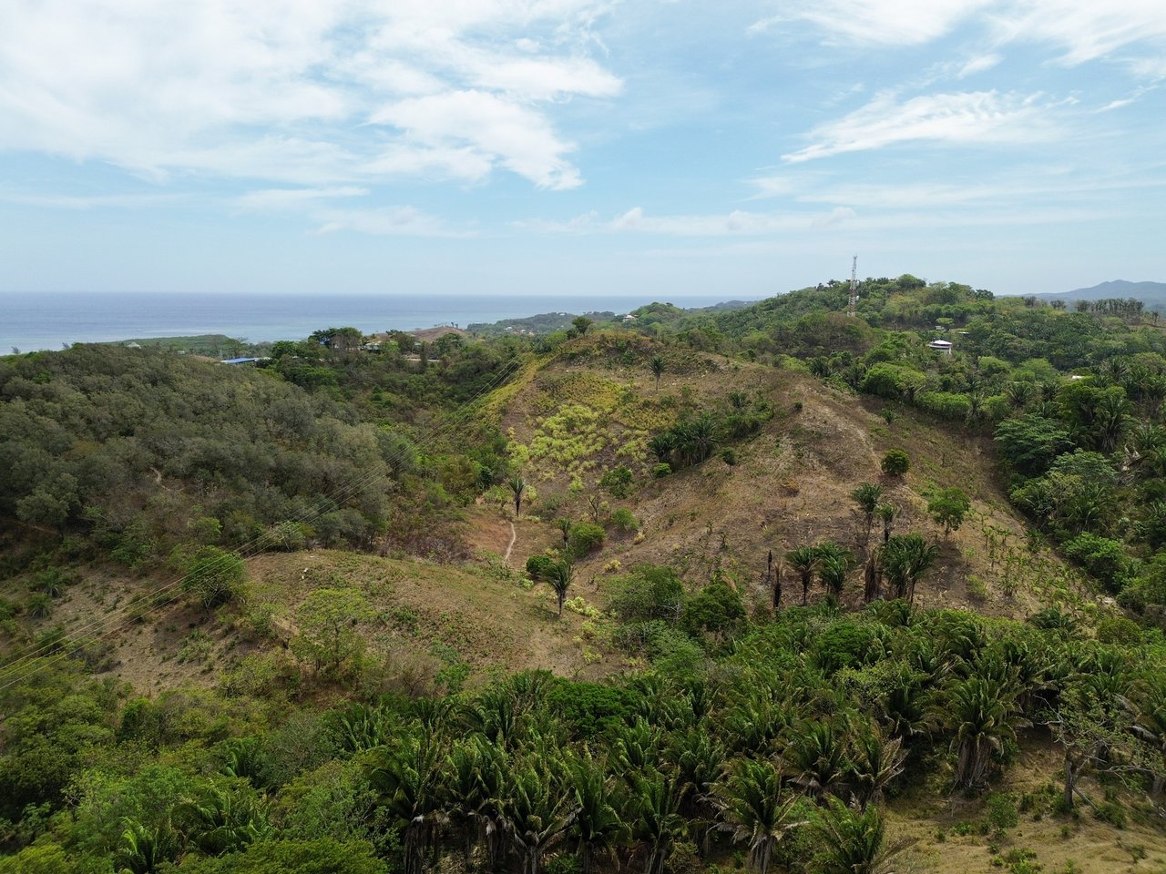 24 Acres located in Six Huts, Milton Bight