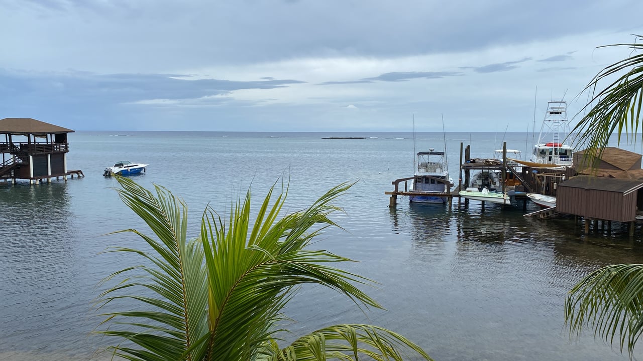 Turtle Casa Beachfront Vacation Villa