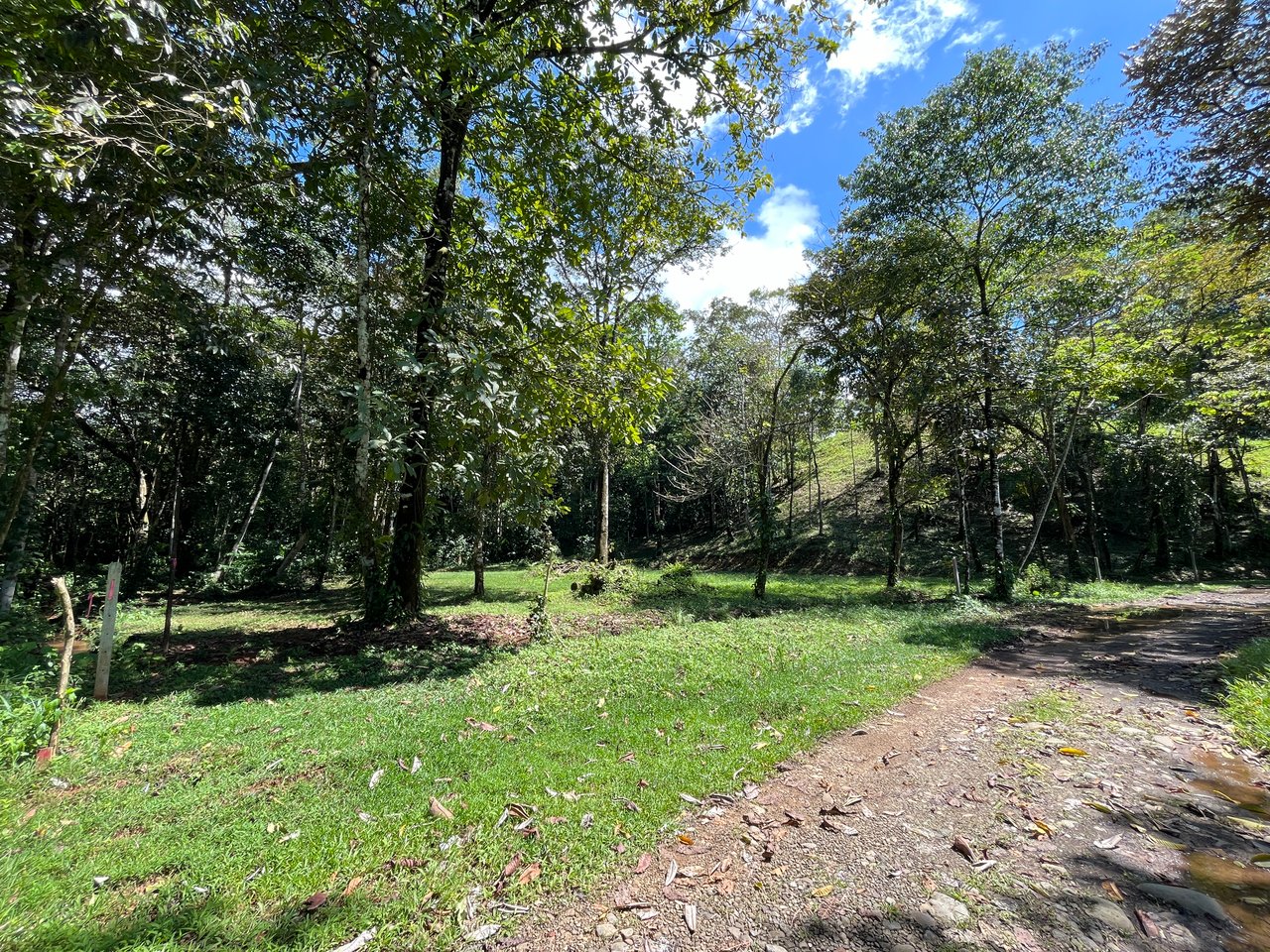 Tortuga Abajo Lot, Just before Ojochal.