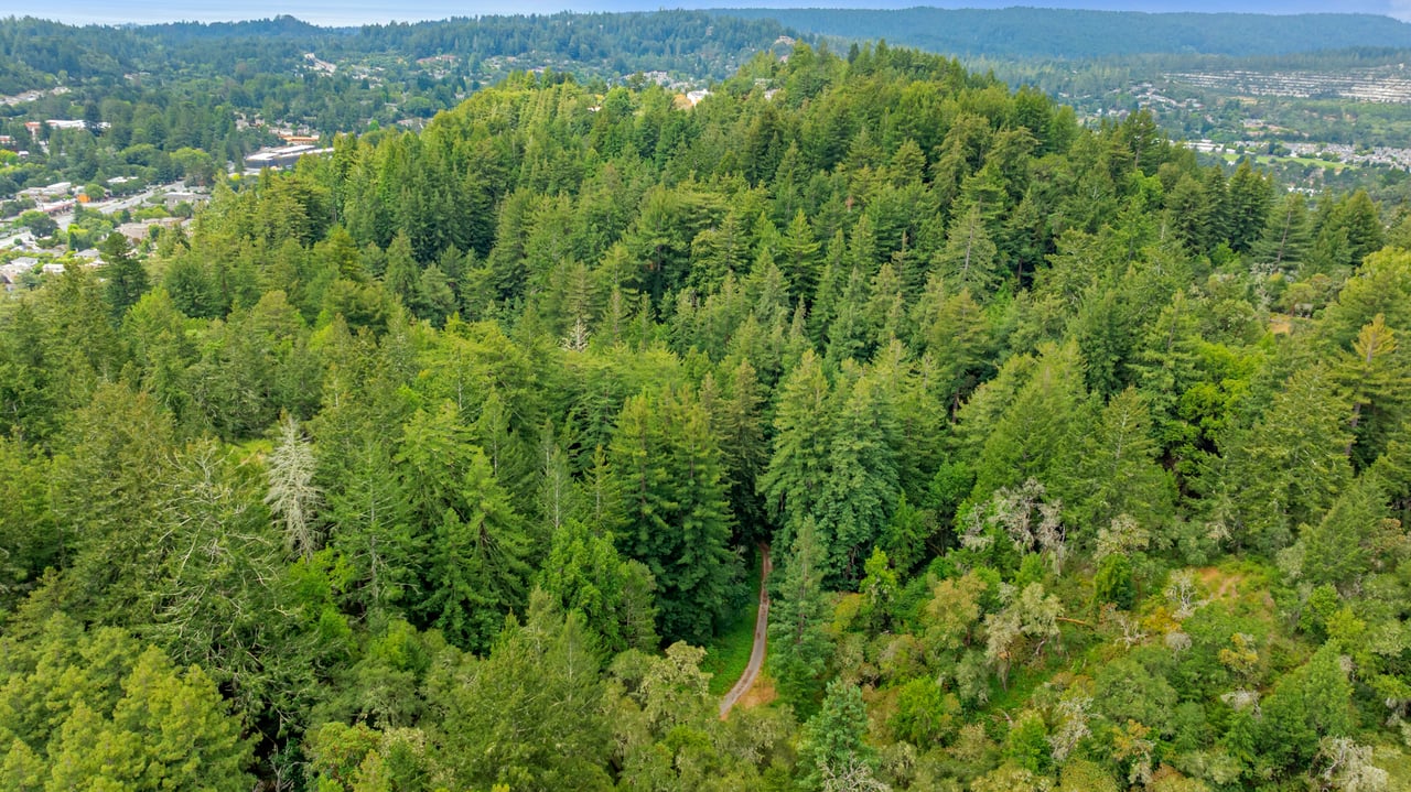 Rare Redwood Acreage in Scotts Valley