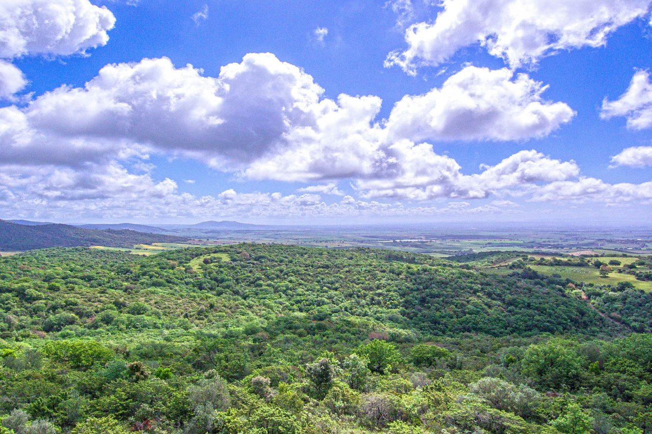 Hunting Reserve - Capalbio