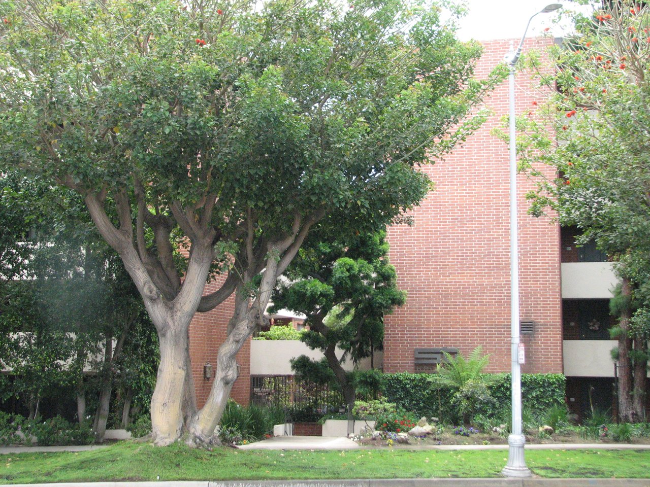 11750 W Sunset Blvd Unit 313