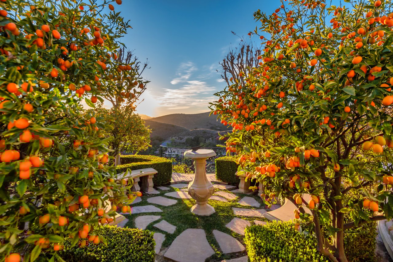 996 Vista Ridge Lane