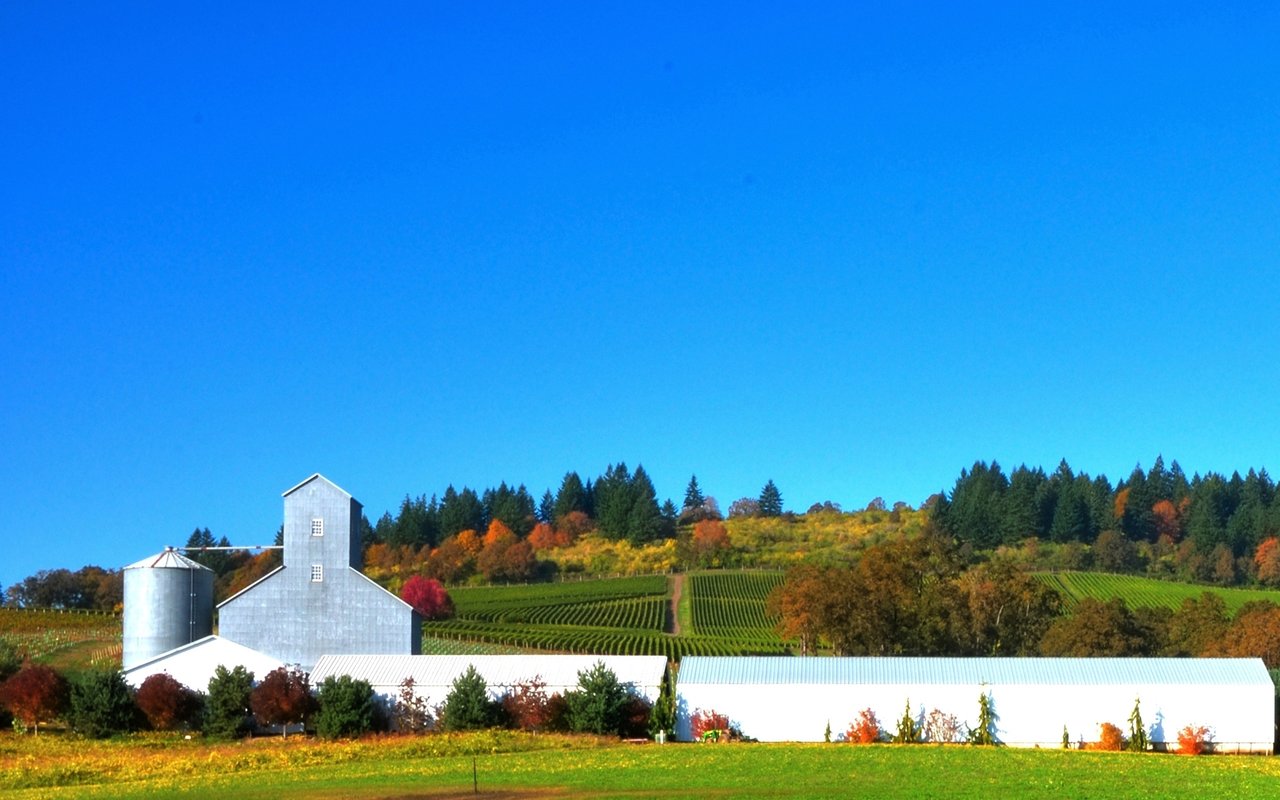 Forest Grove