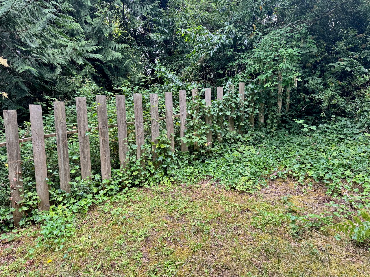Finding a homes value