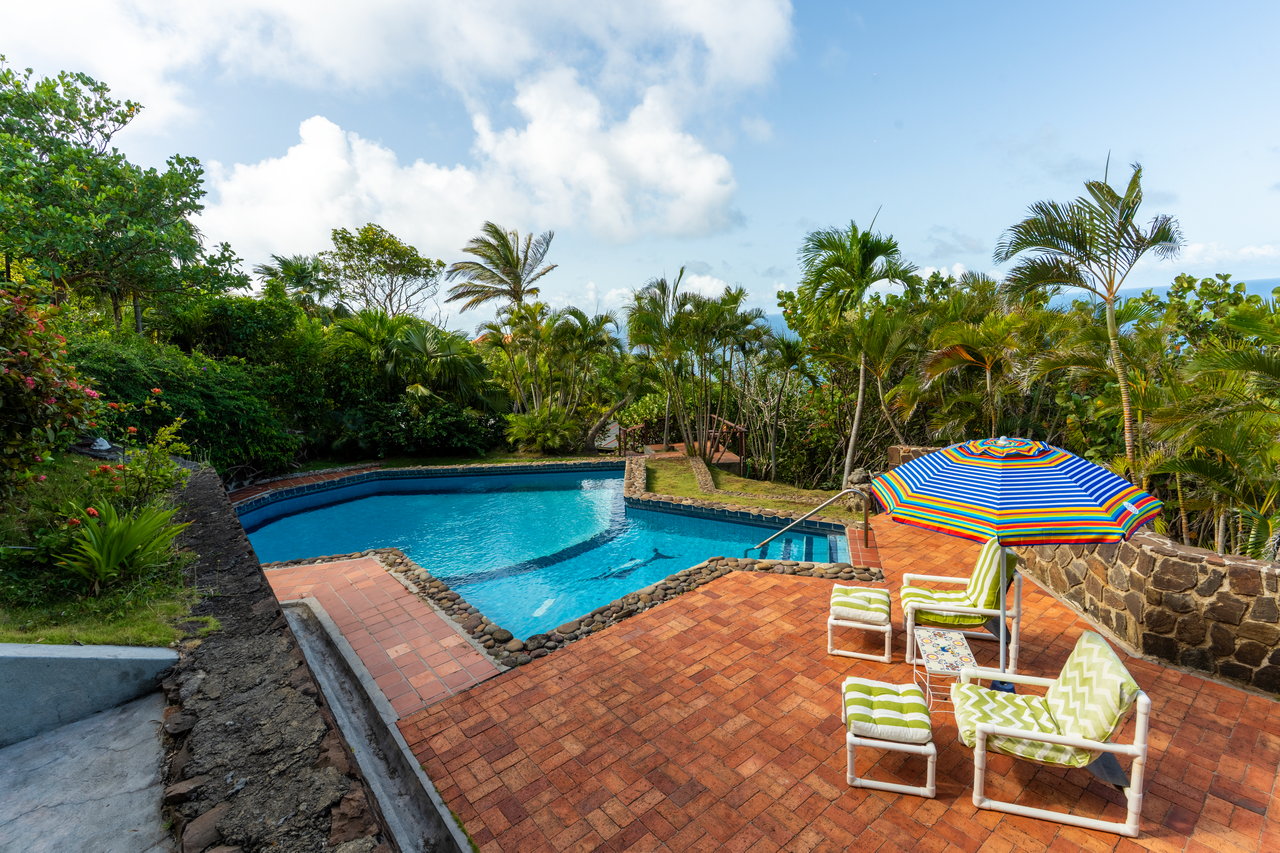 Morne Du Vent Estate