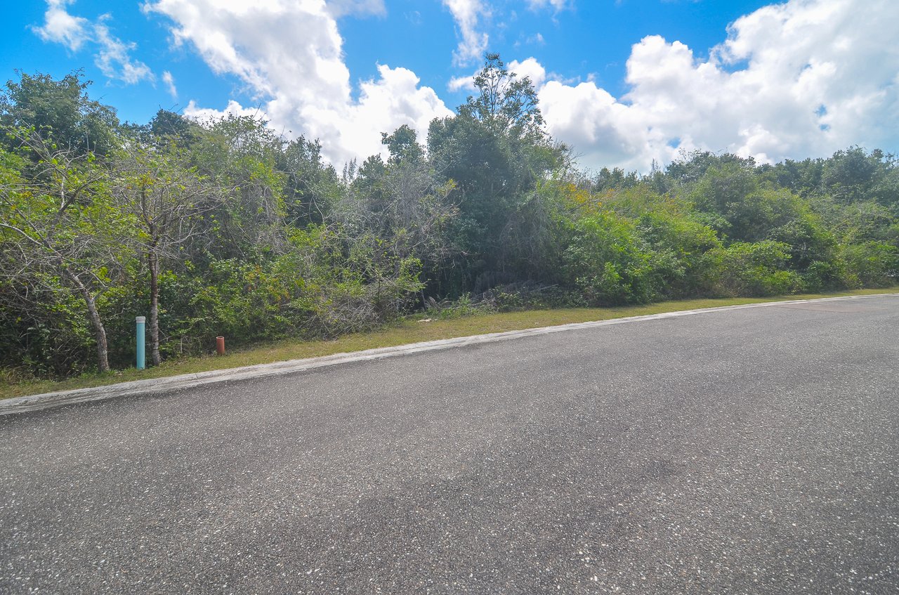 Lot #30 Lyford Hills