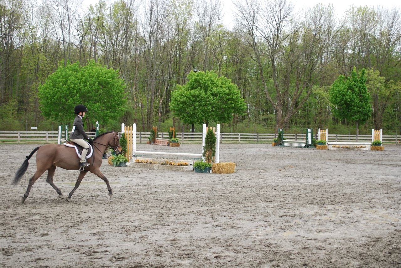 Devon Horse Show 2026 Guide, Lead Line History & Final Weekend Events | B&B Luxury Properties