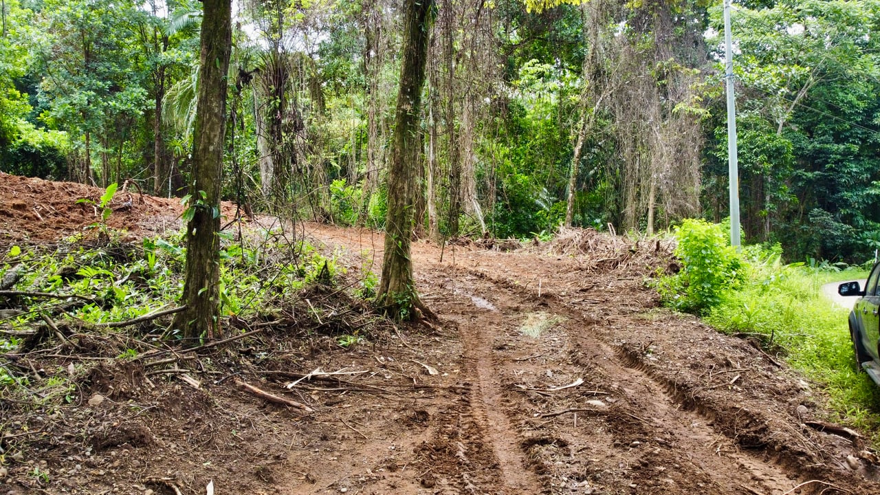 Ready-to-Build Land in San Antonio de Damas: 2,6-Acre with Terraces & Road Frontage