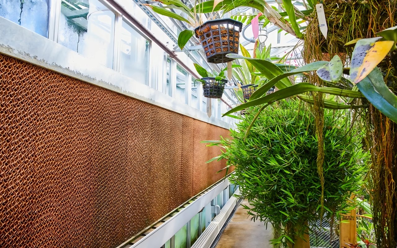 Transform Your Midwest Home with Biophilic Design: Embrace Nature's Beauty and Enhance Your Well-Being