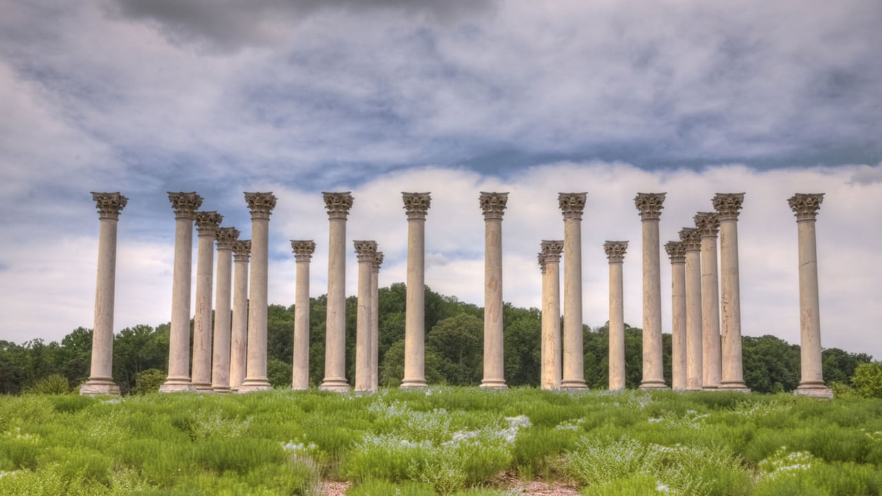 Ivy City - Langston - Trinidad