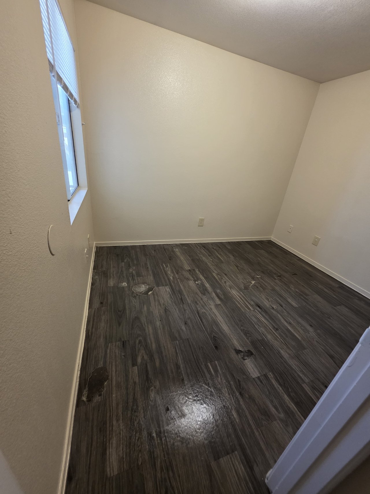 3849 Soda Springs Drive - 1