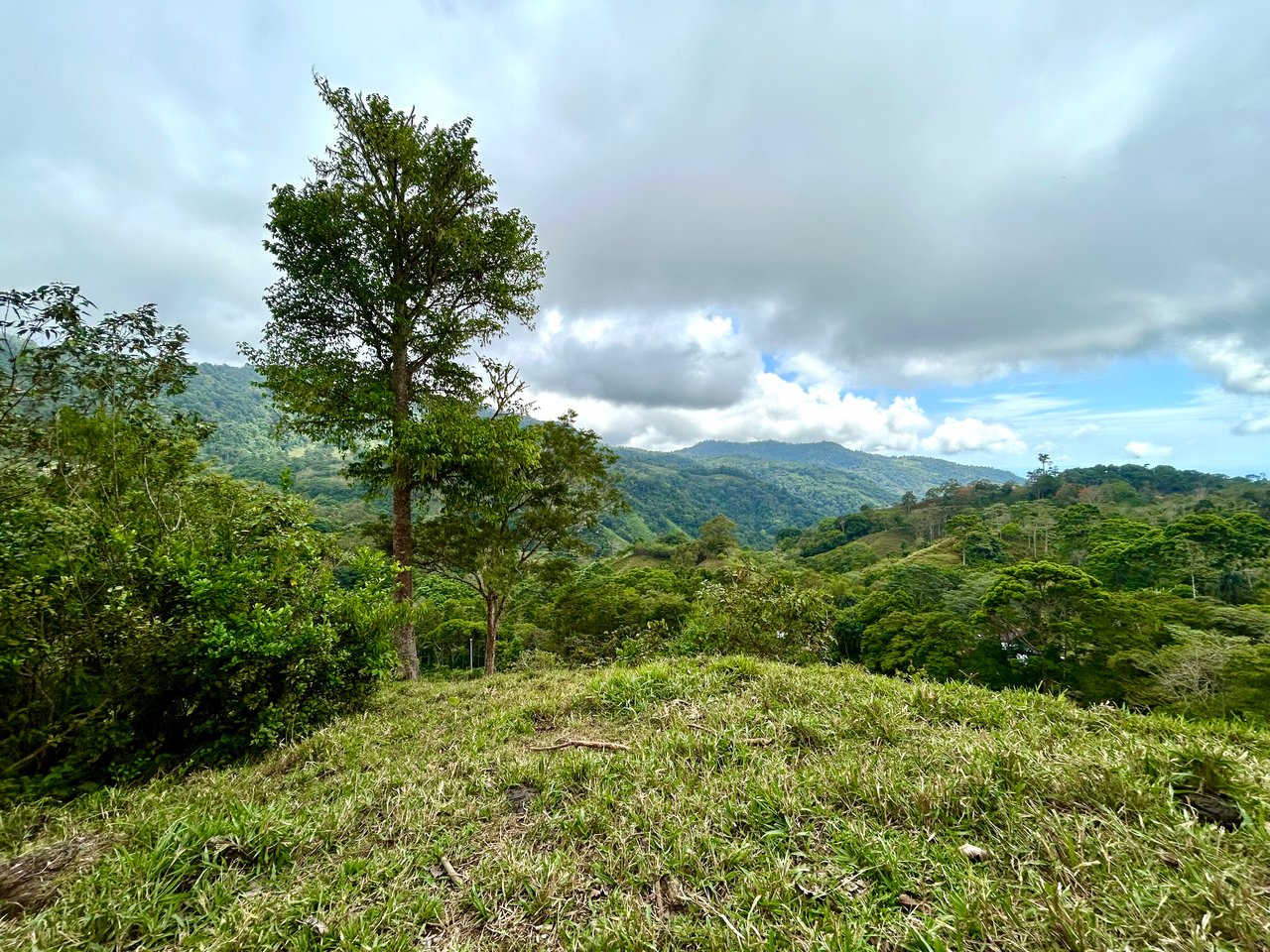 Gorgeous Land in San Luis Morete - Uvita - Over 17 Acres