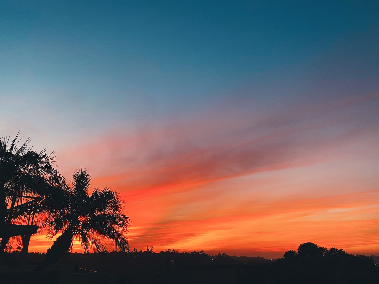 Ocean Views in Calavera Hills