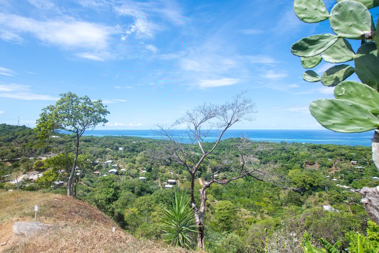 Tortuga Hills, Lot # 1