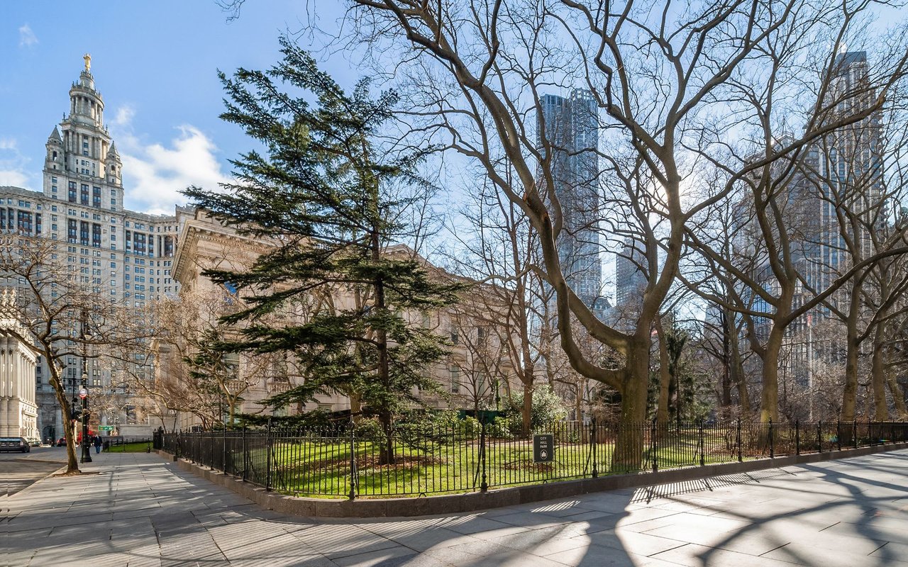 80 Chambers St, #12D