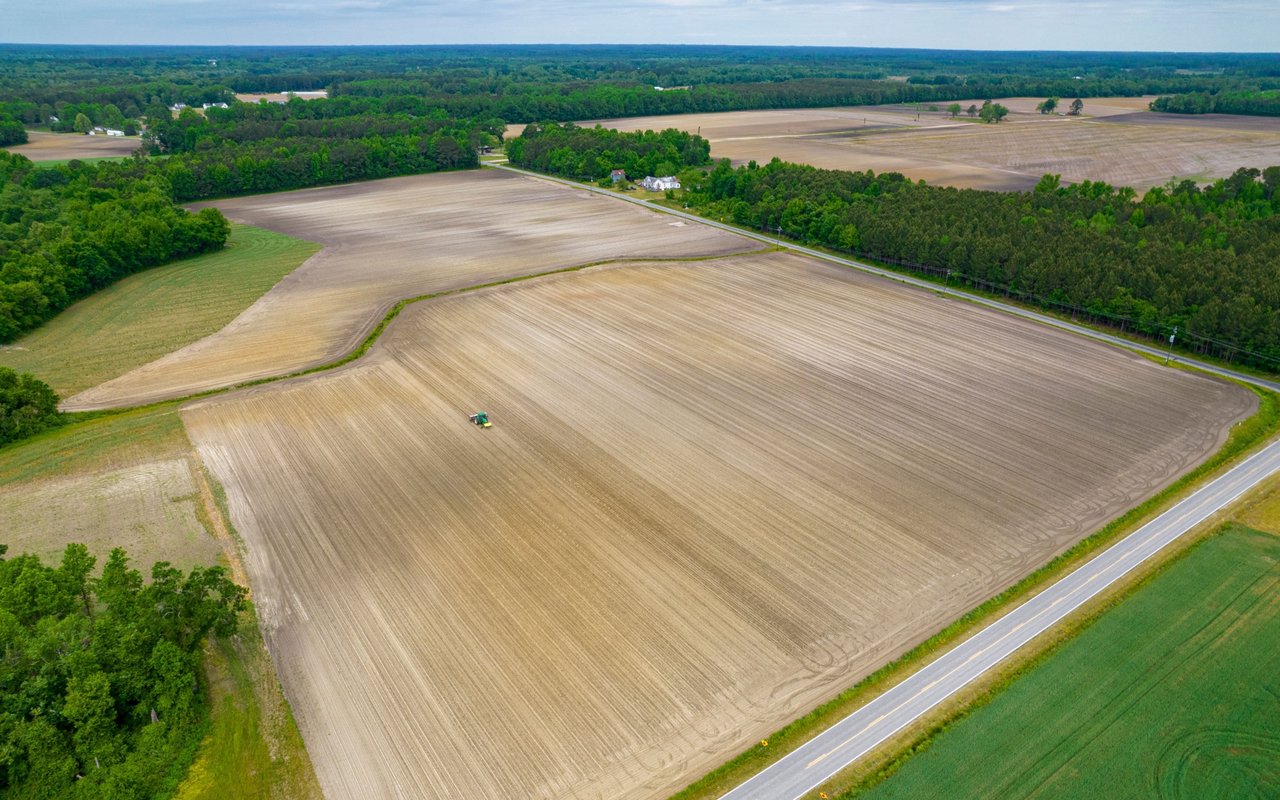 Aerial view of broad cultivated fields bordered by trees and a paved road.