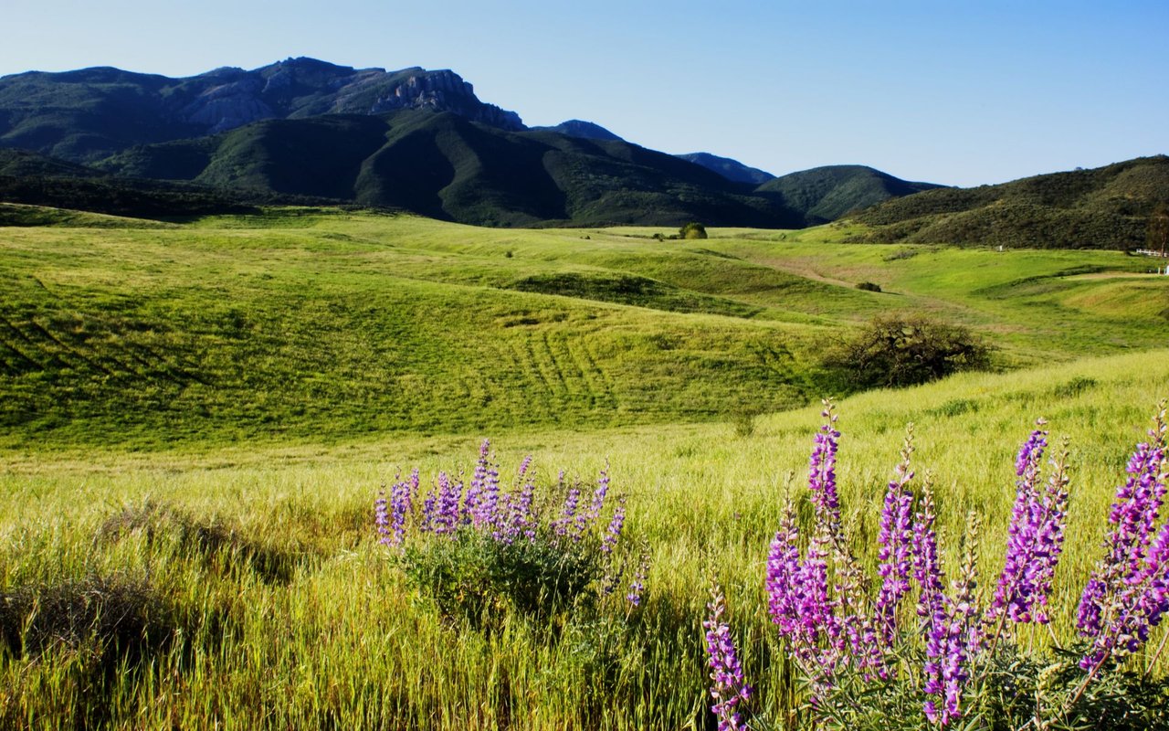Newbury Park