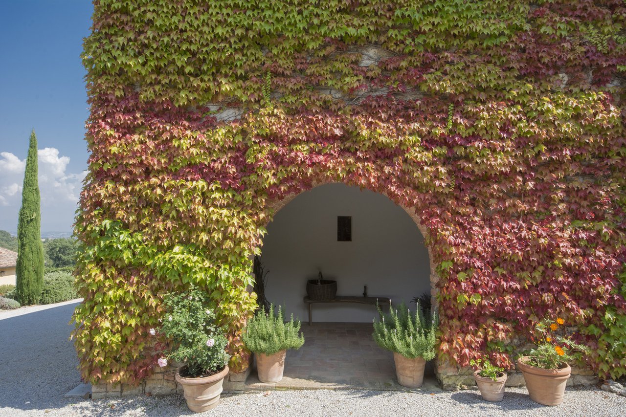 Exclusive Organic Winery for Sale in Siena
