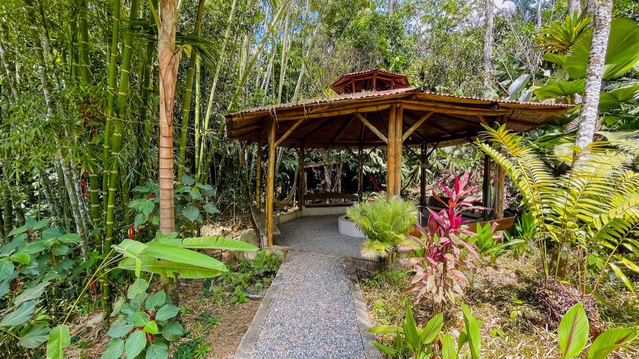 Valley of Dreams - A Beautiful Multi-Use Property Near Cacao Ridge, 10.85 Acres at a Phenomenal Price!