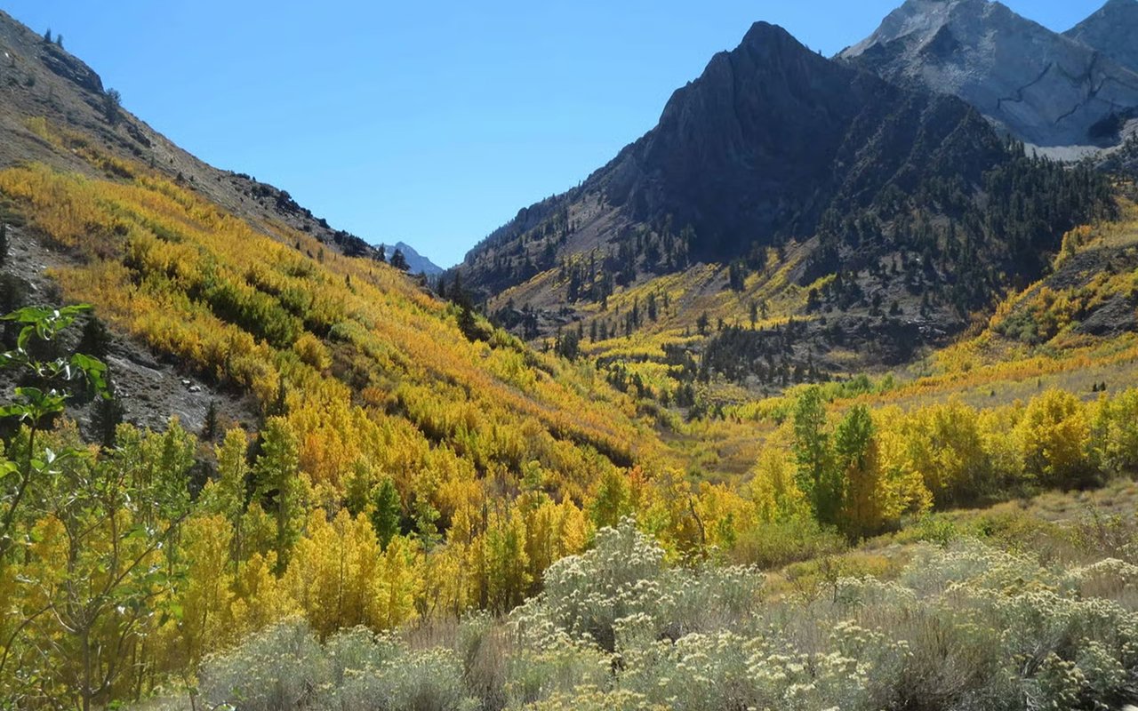 McGee Creek valley with golden autumn foliage beneath rugged mountain peaks.