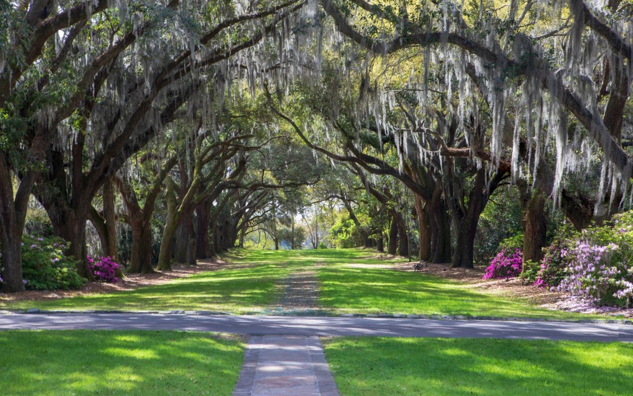 Explore South Carolina Neighborhoods | Nicole Lemieux