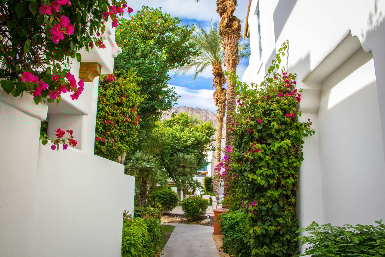 Is Your Backyard Worth More Than You Think? The Hidden Goldmine in Your Own Yard