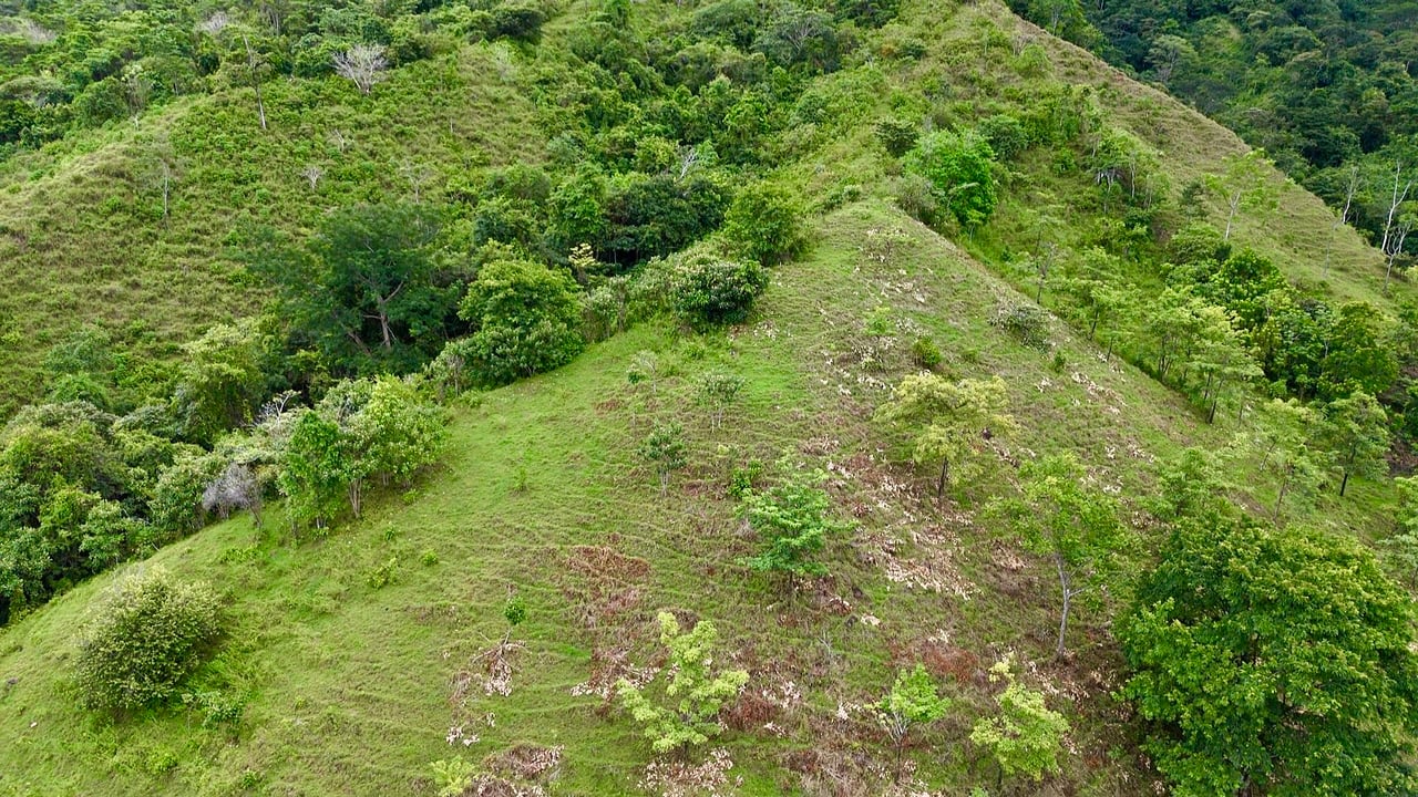 Ocean View Sanctuary in San Buenas – 4.94 Acres of Pastures & Easy Accessaccess