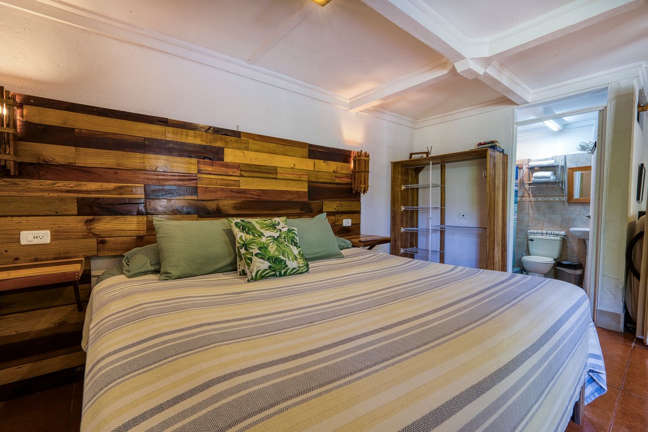 DOMINICAL HOTEL OR RETREAT WITH 11 RENTALS PLUS OWNER’S HOME