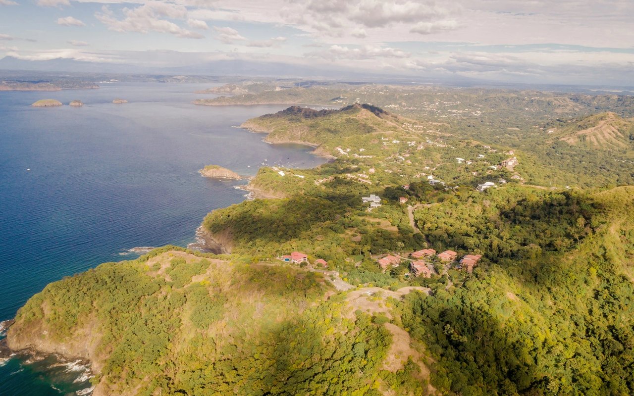 Papagayo