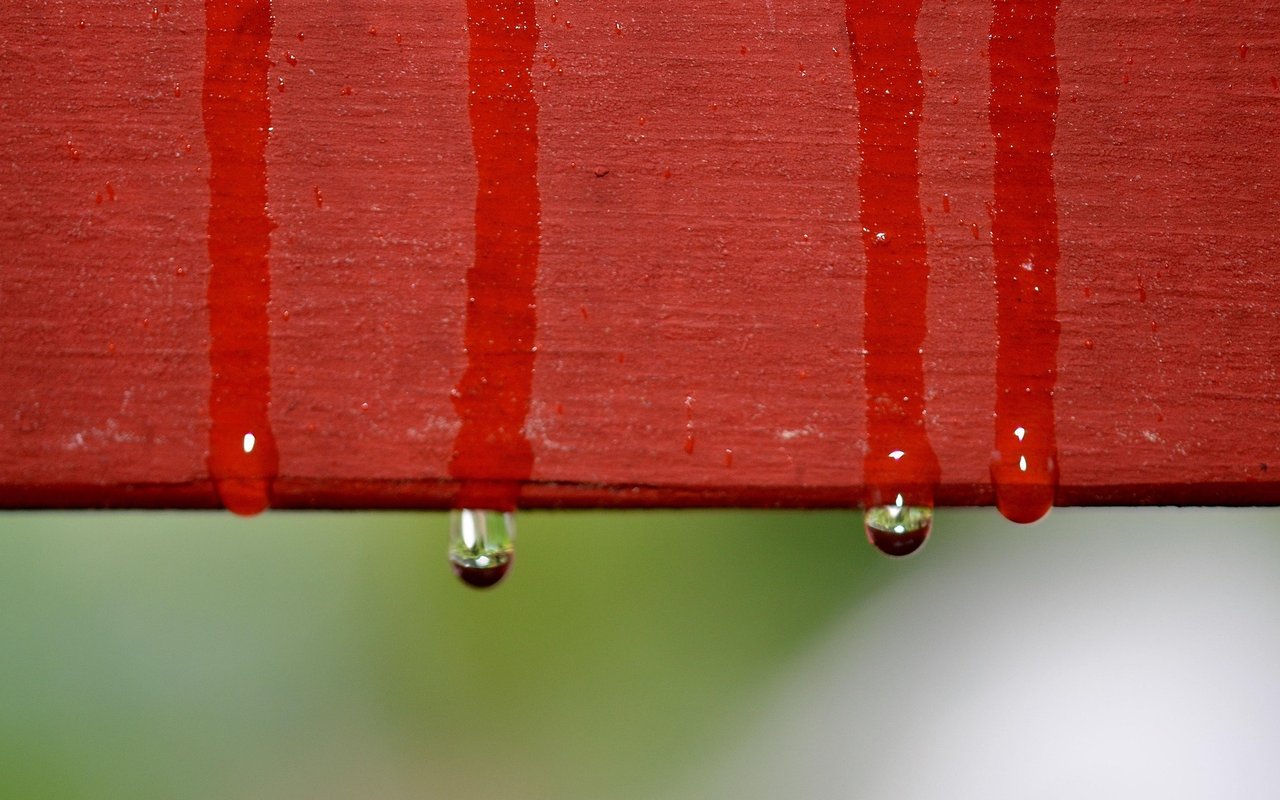 So The Rain Has Returned. Here's How To Protect Your Home From Water Damage