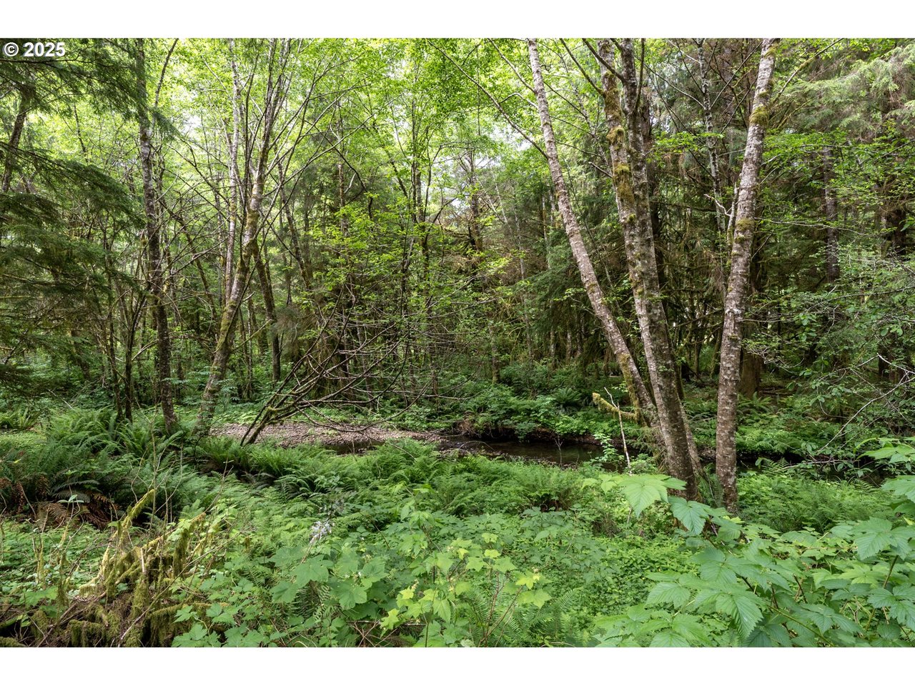 Sold creek-front acreage at 37307 Linda Ln near Seaside, Oregon, with wooded privacy and buyer representation by Shelley Parker of Home + Sea Realty.