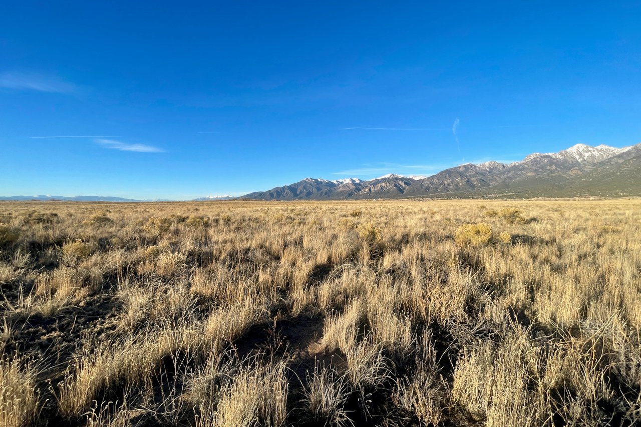 Pine Cone Road Homesites