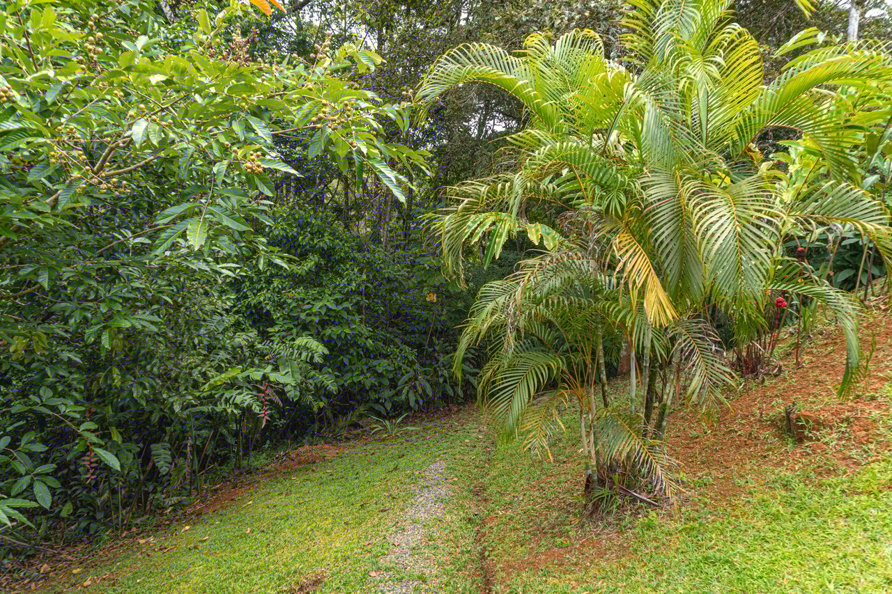 Serene Costa Rican Jungle Retreat with Waterfalls & Wildlife