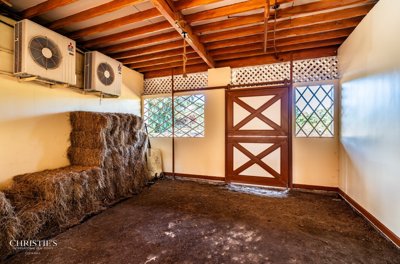 Finca Sweet Prince – A Private Equestrian Estate of Unmatched Elegance