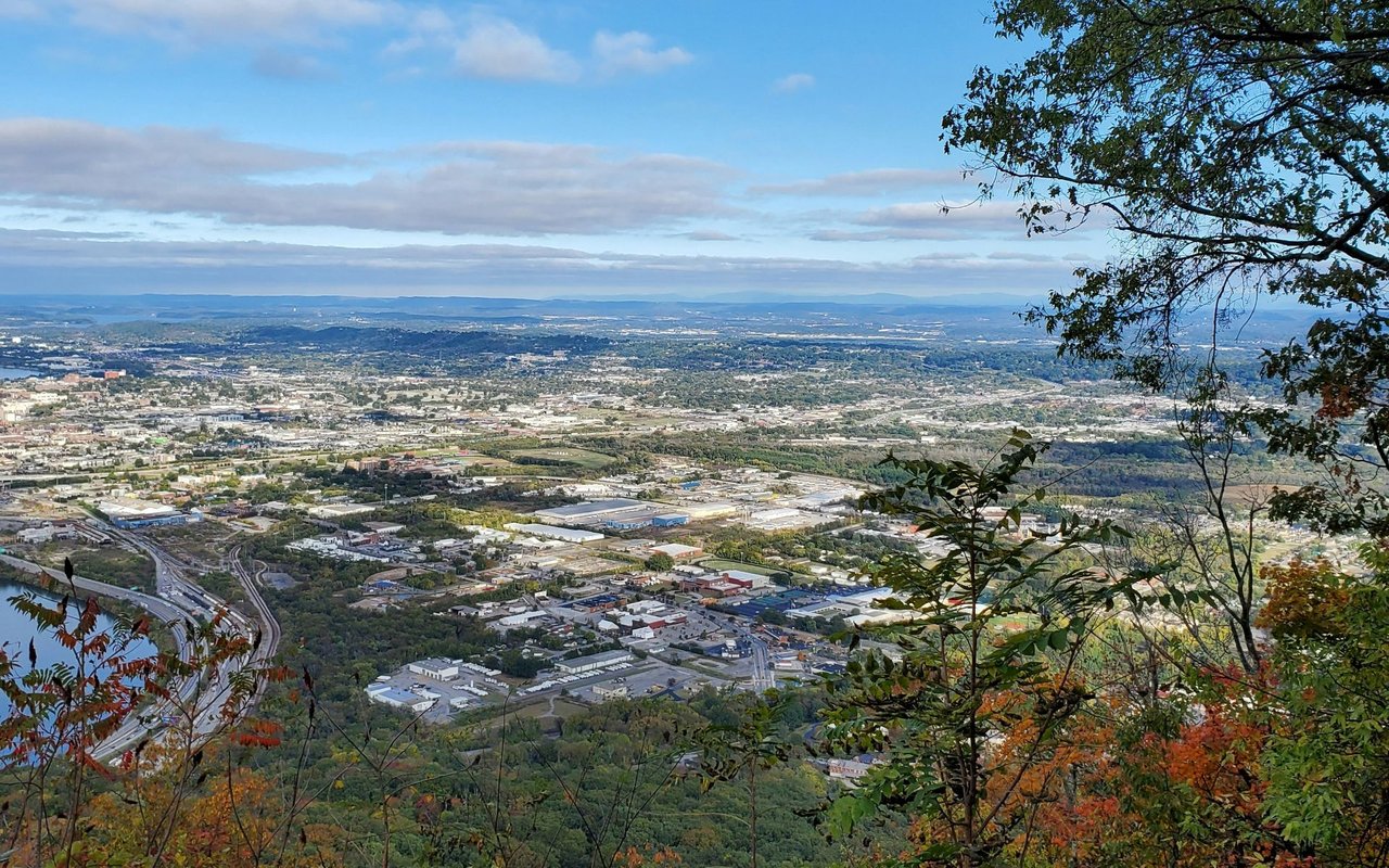 Buena Vista