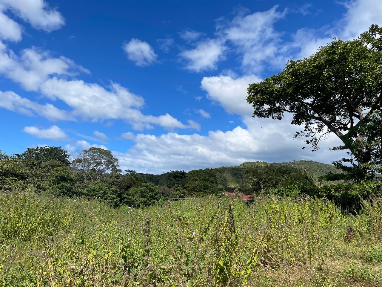 Private Jungle Estate Land in Vistas de Flamingo, Guanacaste, Costa Rica
