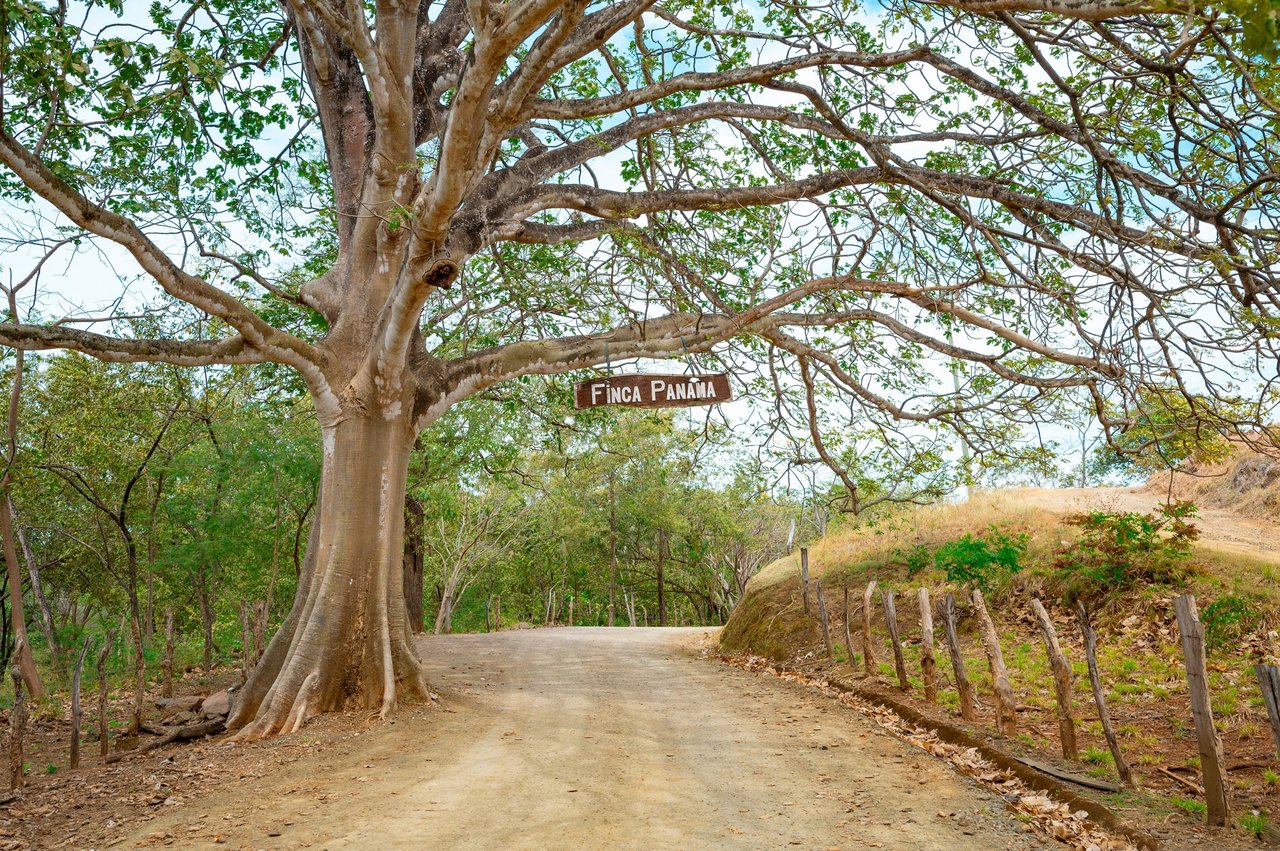 V-Iguana Finca Panamá | Large Property with Two Houses, Pool & Expansion Potential Near Tamarindo