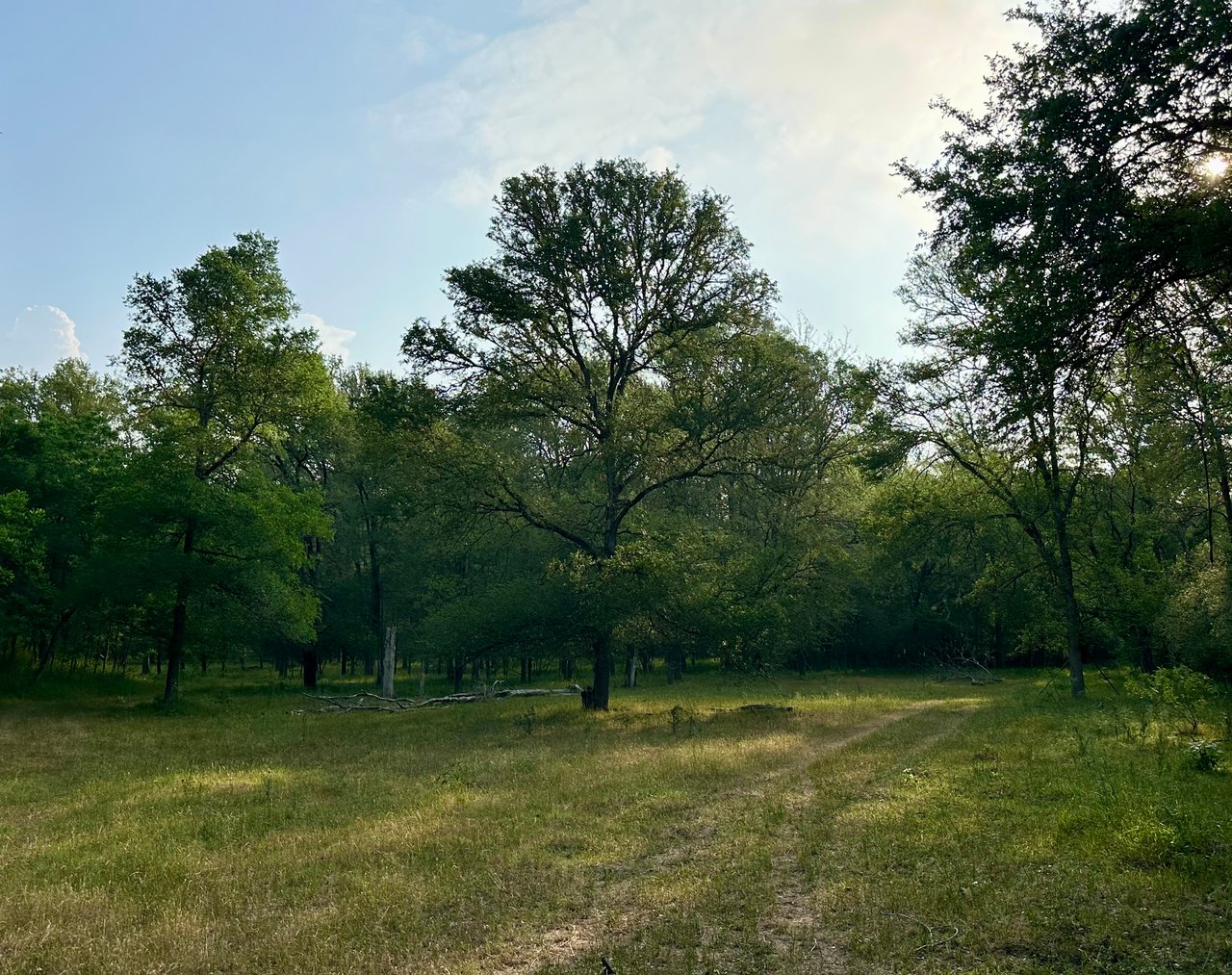 Revival Ranch TX