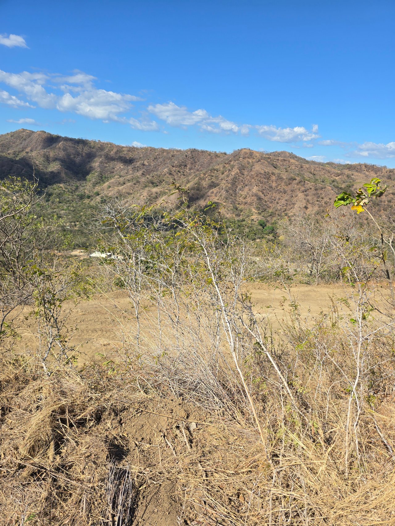 Vista Miramar Estate Lot, Pacific Heights