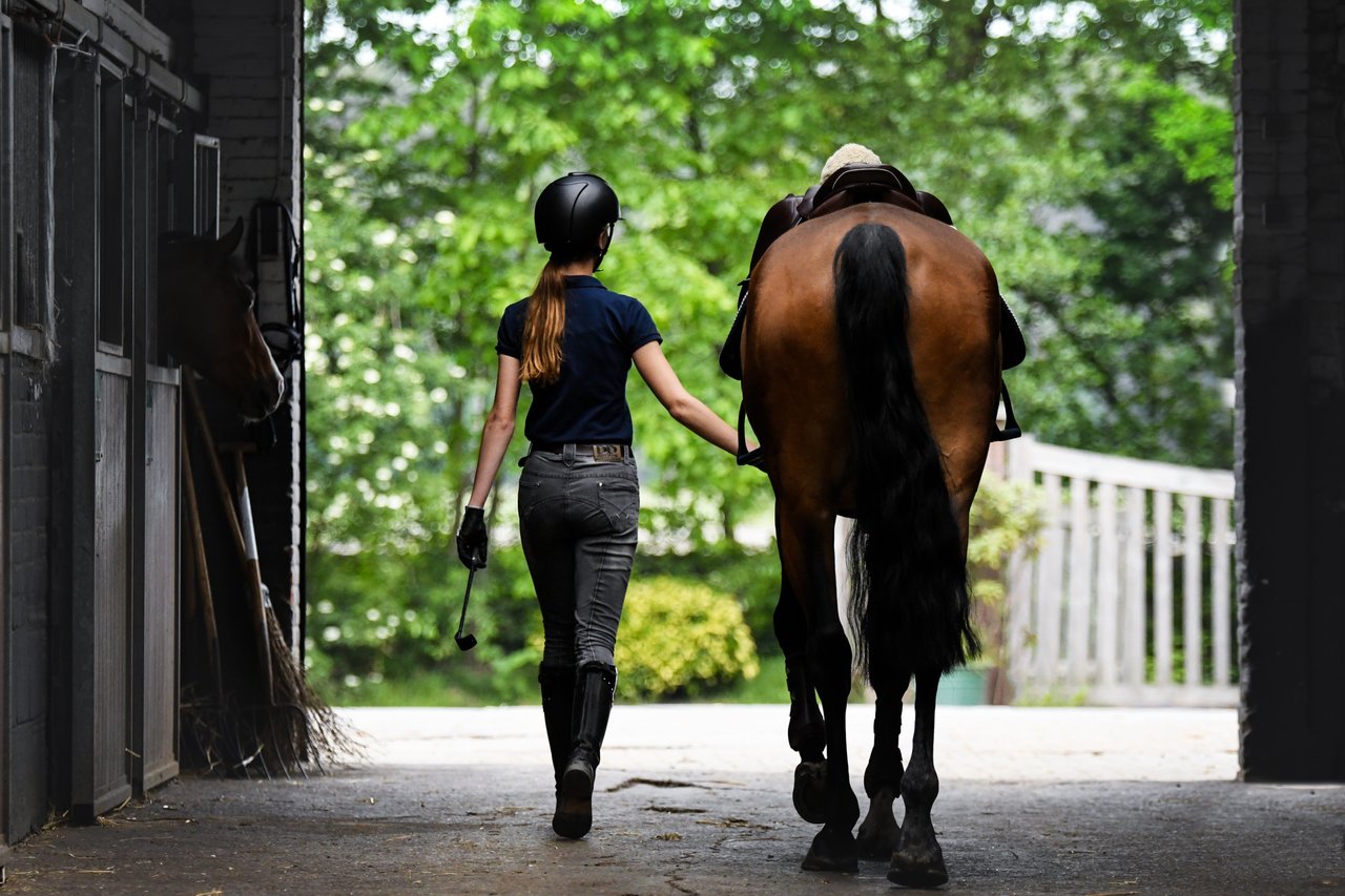 Saddles, Soil & Self-Reliance: Why Raising Kids with Horses in Bucks County Is a Gift That Lasts a Lifetime