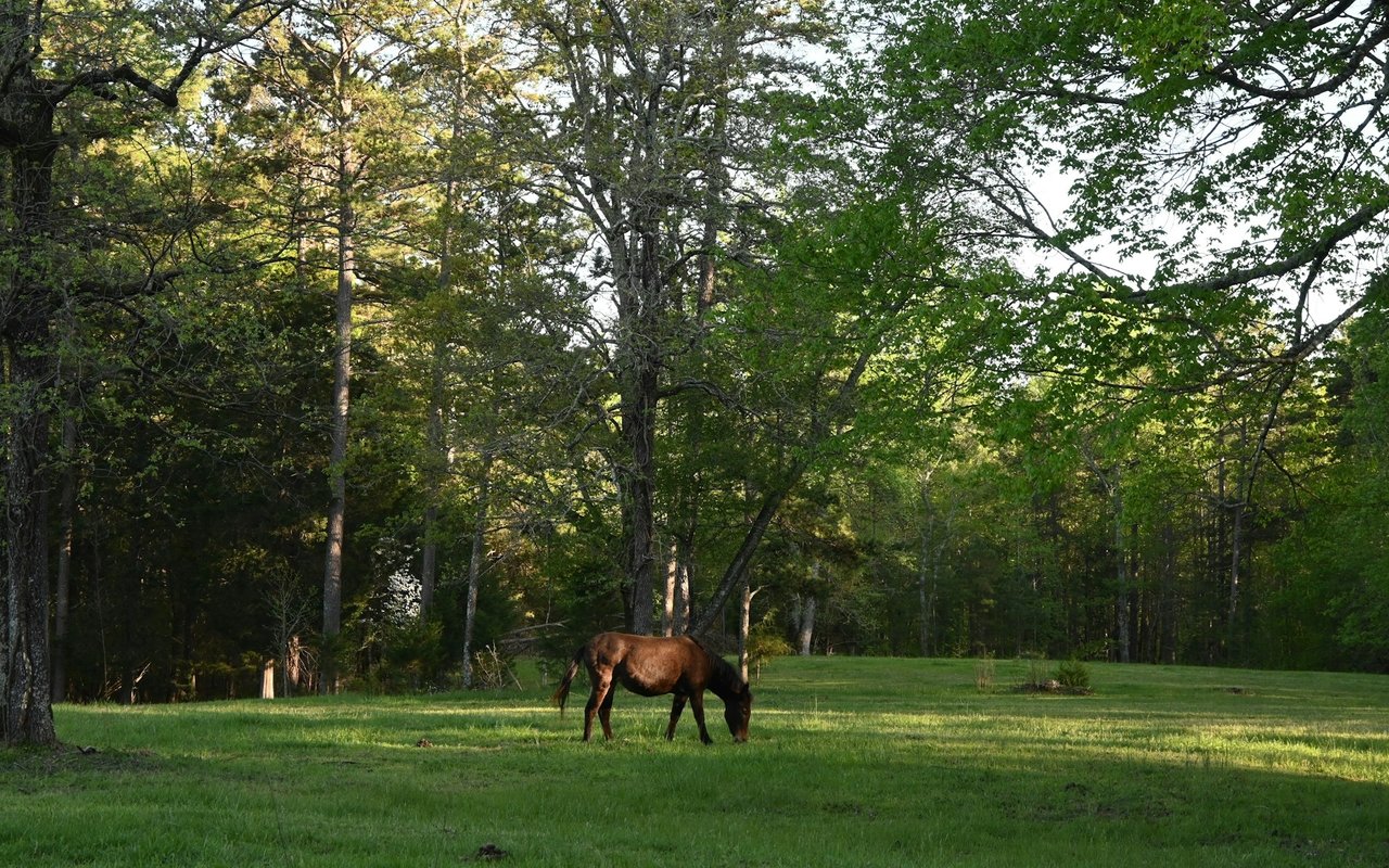 Barrington Hills