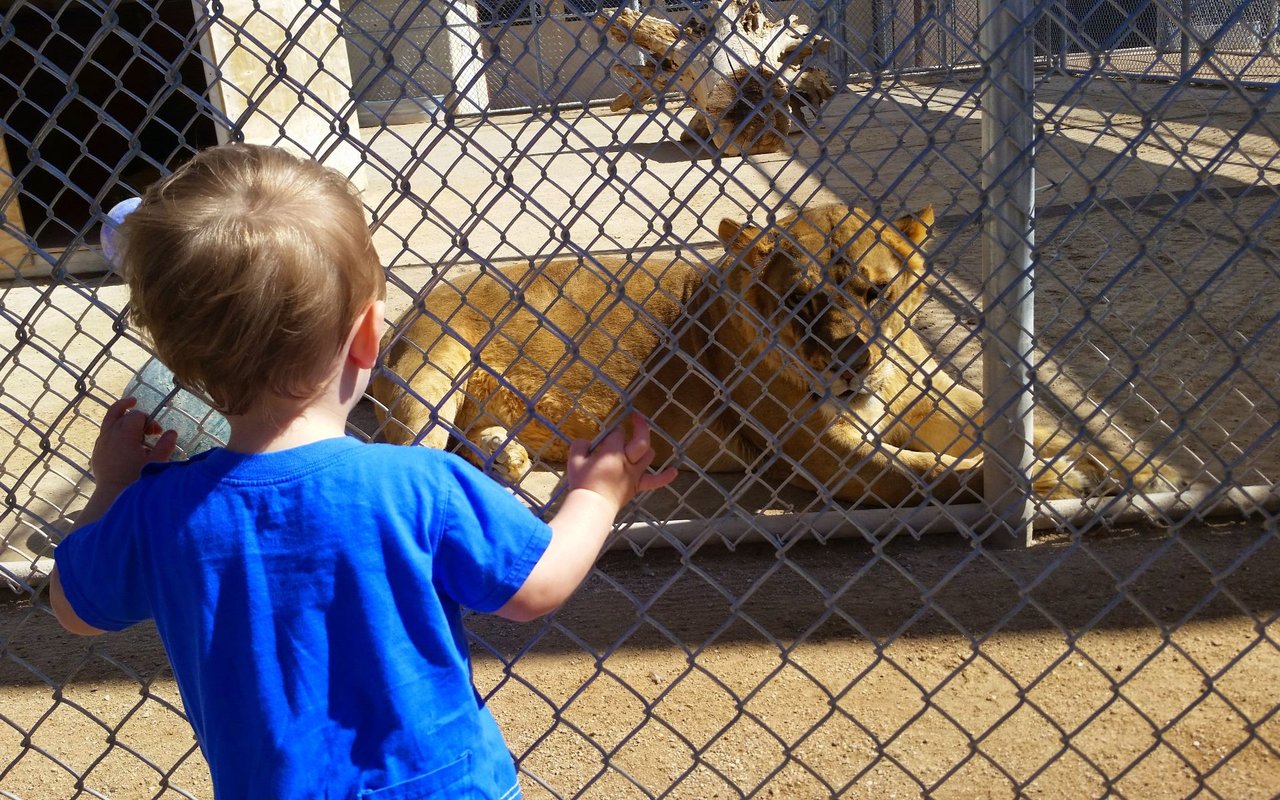 Things to Do in Henderson, NV