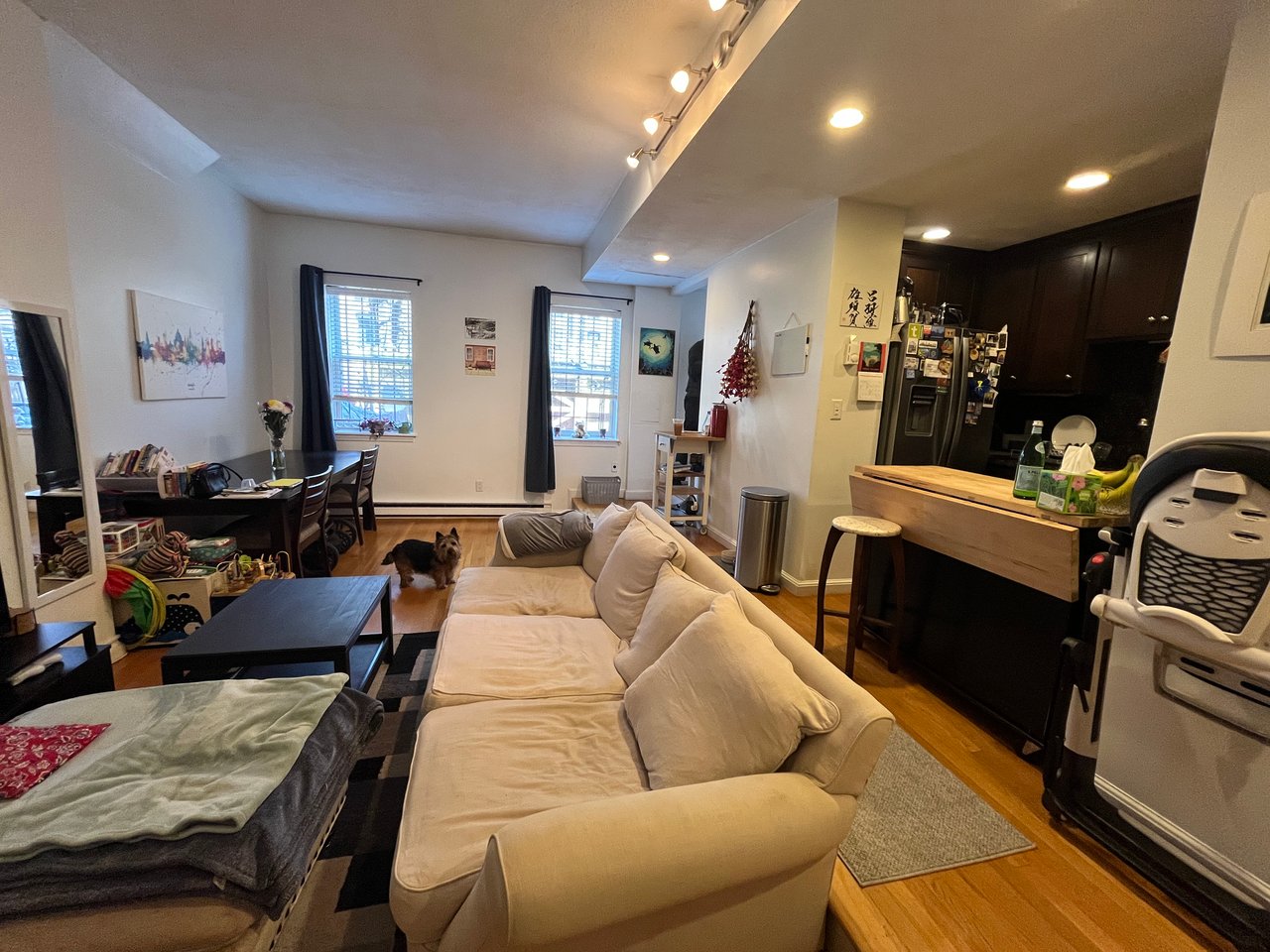 AUGUST - Private Entry 1 bed 1 bath on Back Bay / South End Border - Pets Negotiable! 