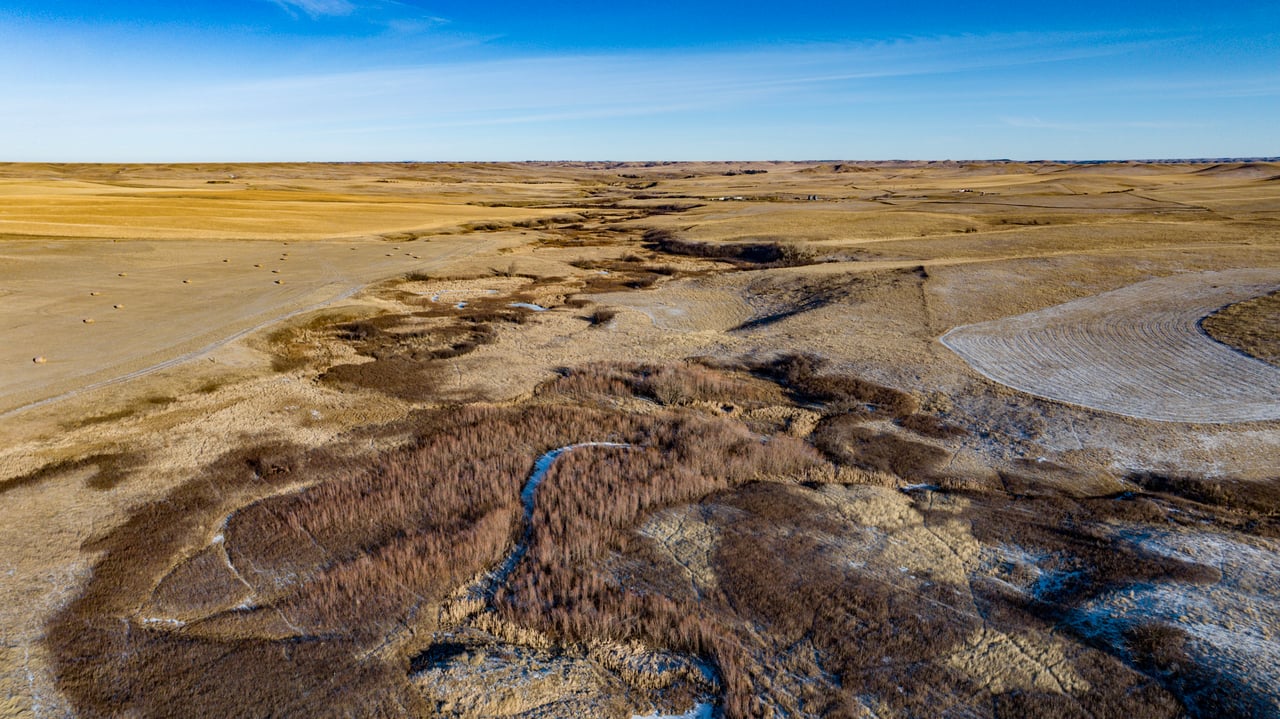 Blood Coulee Ranch