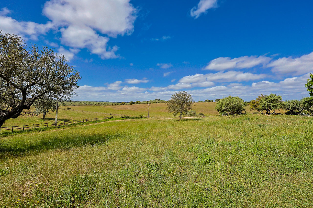 Luxury Wellness & Sports Retreat in Portugal with Expansion Upside & €1M+ Revenue