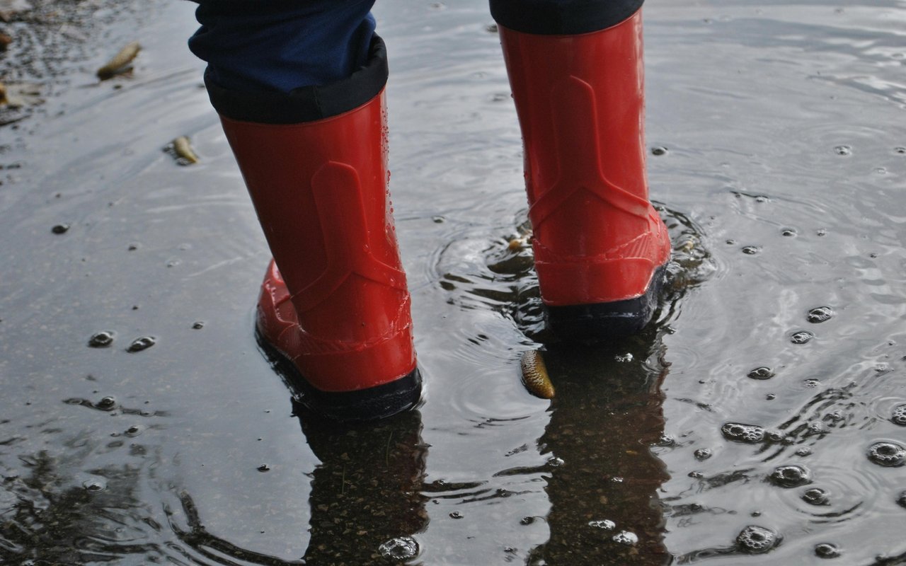 What You Should Know If You're Buying A Home in A Flood-Prone Area