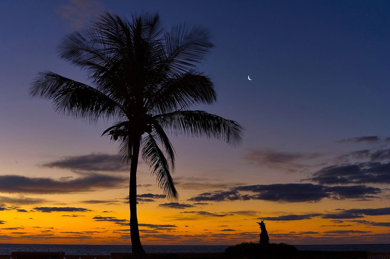 Florida sunset over the waterfront with palm trees and the Moon appearing in the evening sky