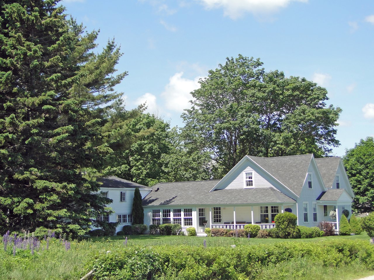 Cottage Grove